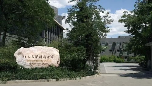 2024年買房必勝秘籍盯緊海淀北銷冠,盯緊北大好洋房就穩(wěn)了