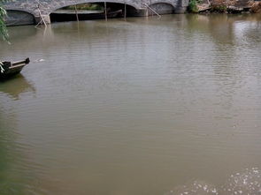 雙鳳生態(tài)園5月24日加魚圖片回顧