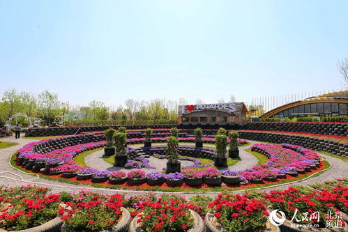 永不落幕的世園記憶 北京世園公園雙鳳紀念園掠影