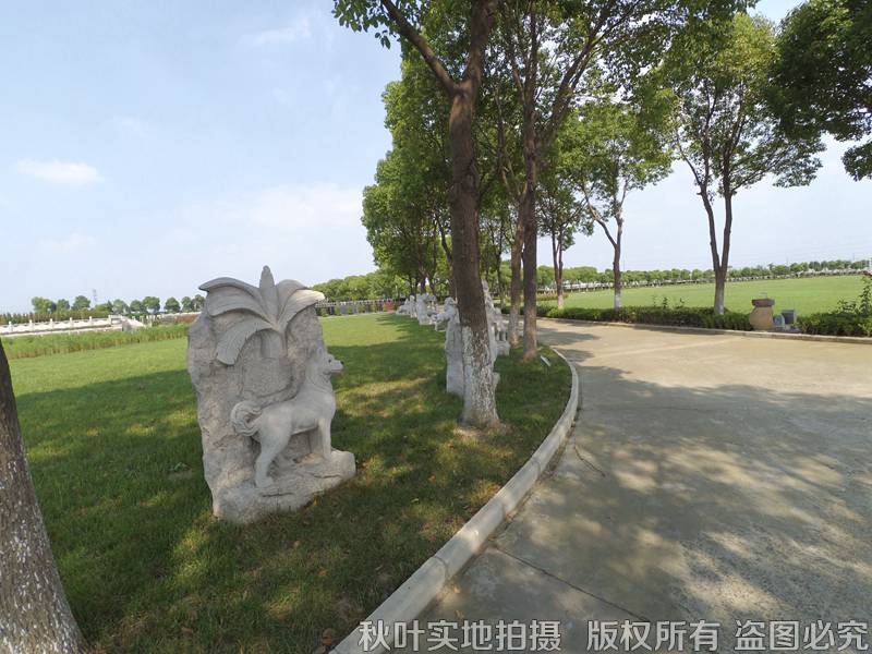 秋葉網下的思念 雙鳳紀念園景觀探訪