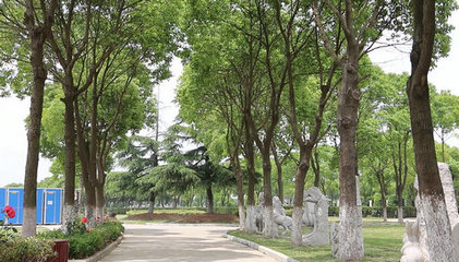 雙鳳紀念園購墓必備證件清單