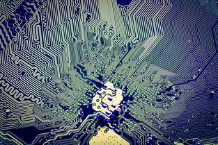 解碼張江創(chuàng)新密碼 從2018上?？萍歼M(jìn)步報(bào)告看軟件開(kāi)發(fā)的奮進(jìn)足音